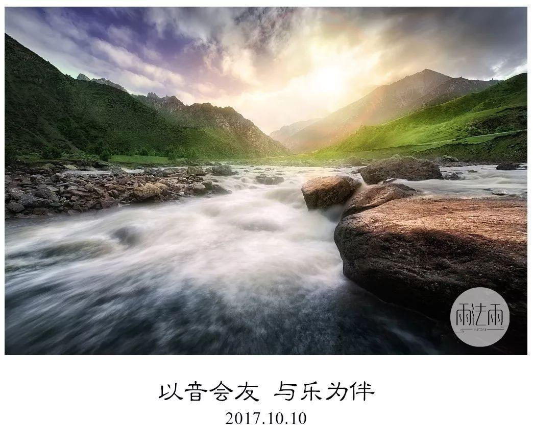 可爱小猫向上跳